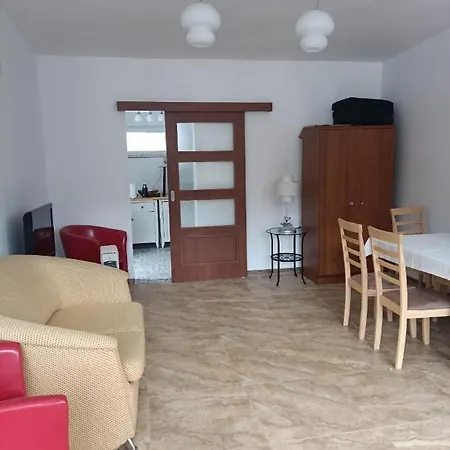 Viking ホームステイ