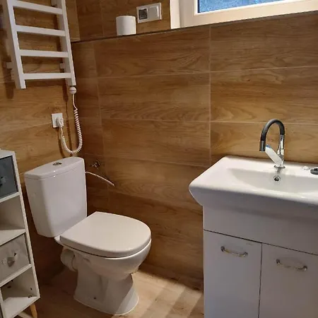 Viking ホームステイ