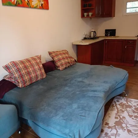 Viking ホームステイ *