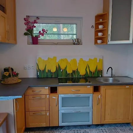 Accommodatie bij particulieren Viking