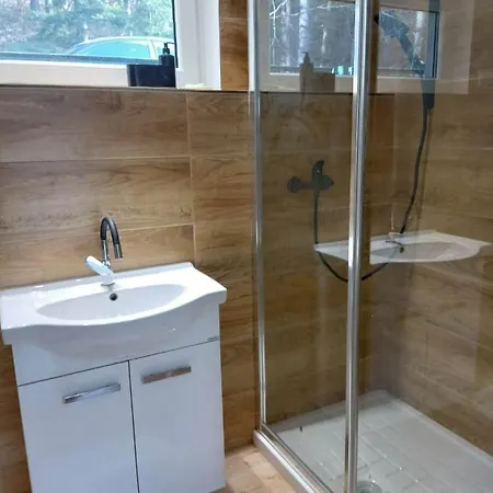 ホームステイ Viking