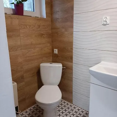 Viking Roznow