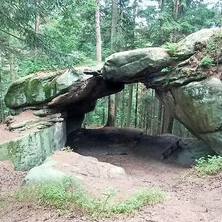 Viking * Roznow
