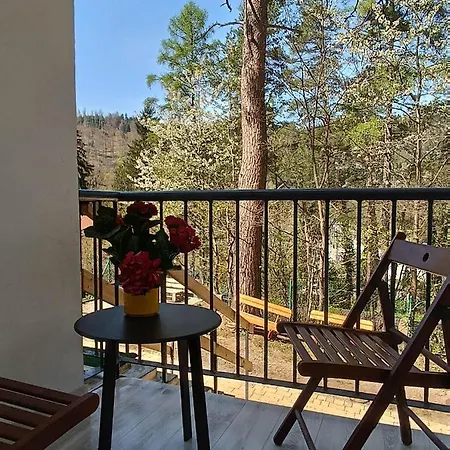 ホームステイ Viking