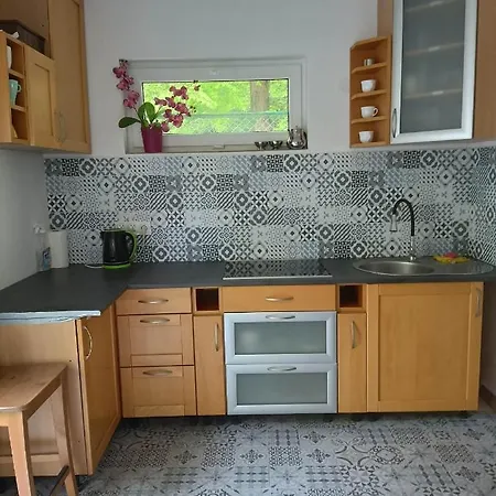 Проживание в семье Viking *