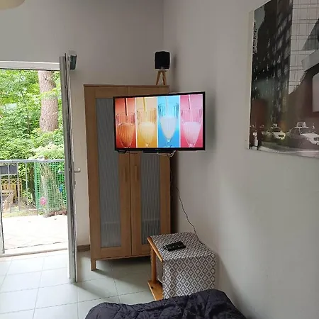 ホームステイ Viking ロジヌフ