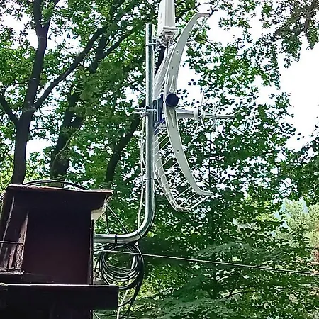 Viking ホームステイ