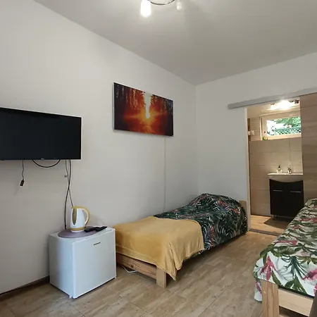 ホームステイ Viking