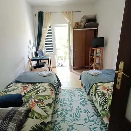 Viking ホームステイ