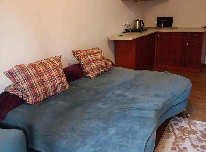 Viking منزل للإقامة *